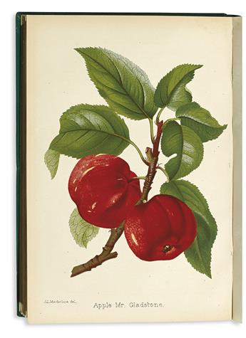 (BOTANICAL.) The Florist. [1848-55]. * The Florist, Fruitist. . . [1856-61]. * The Florist and Pomologist. [1878-84].